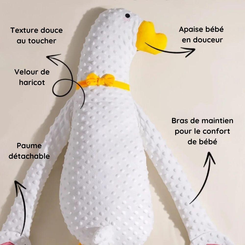 Ducky - Pour un repos sans tracas